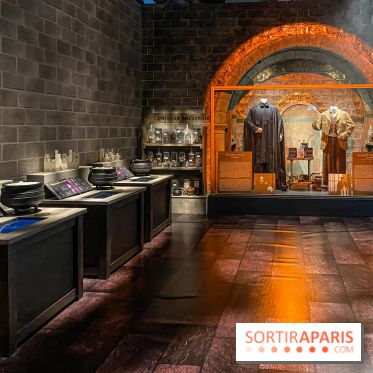 Harry Potter l'exposition cours de potions