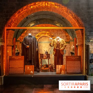 Harry Potter l'exposition cours de potions