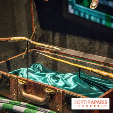 Harry Potter l'exposition baguette