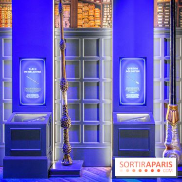 Harry Potter l'exposition baguette