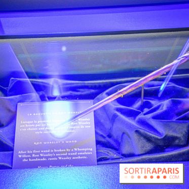 Harry Potter l'exposition baguette