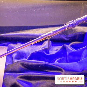 Harry Potter l'exposition baguette harry