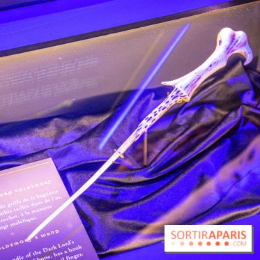 Harry Potter l'exposition baguette voldemort