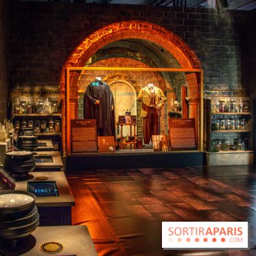 Harry Potter l'exposition cours de potions