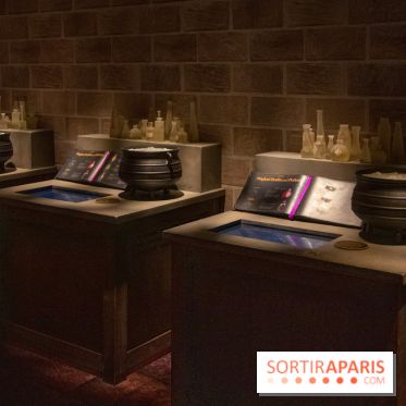 Harry Potter l'exposition cours de potions