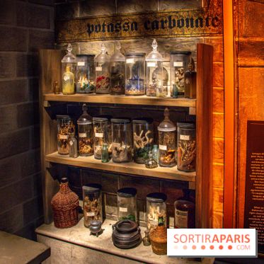 Harry Potter l'exposition cours de potions