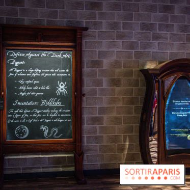 Harry Potter l'exposition défense contre les forces du mal