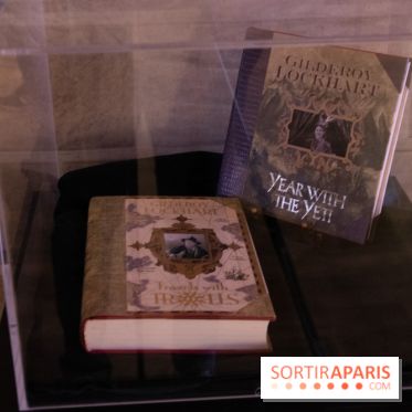 Harry Potter l'exposition défense contre les forces du mal