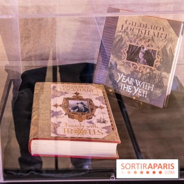 Harry Potter l'exposition défense contre les forces du mal