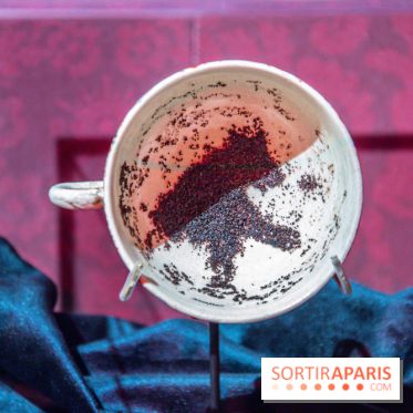 Harry Potter l'exposition divination tasséomancie