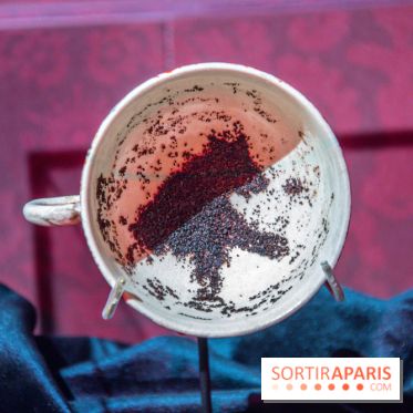 Harry Potter l'exposition divination tasséomancie