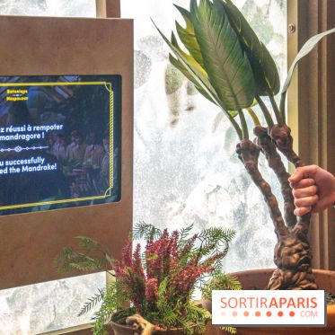 Harry Potter l'exposition cours de botanique