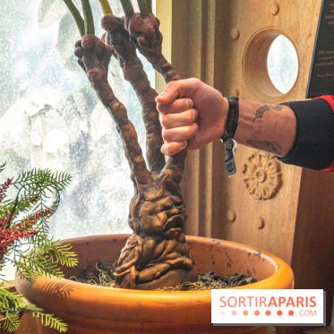 Harry Potter l'exposition cours de botanique