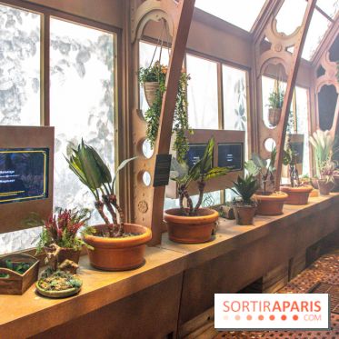 Harry Potter l'exposition cours de botanique