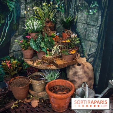 Harry Potter l'exposition cours de botanique