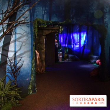 Harry Potter l'exposition forêt interdite