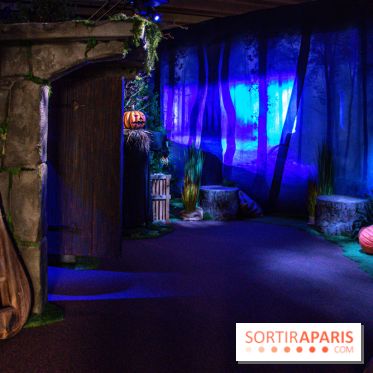 Harry Potter l'exposition forêt interdite