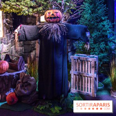 Harry Potter l'exposition forêt interdite