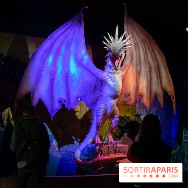 Harry Potter l'exposition dragon