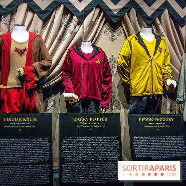 Harry Potter l'exposition tournoi des trois sorciers