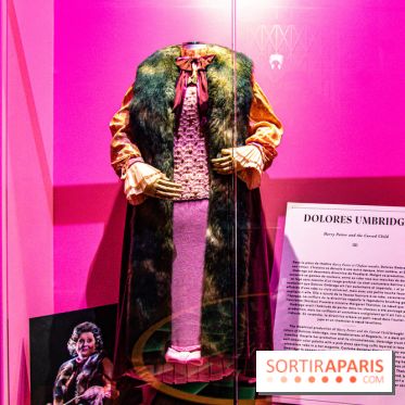 Harry Potter l'exposition dolores ombrage