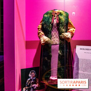 Harry Potter l'exposition dolores ombrage