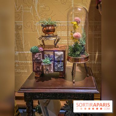 Harry Potter l'exposition poufsouffle