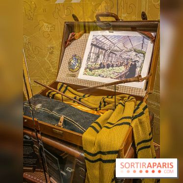 Harry Potter l'exposition poufsouffle