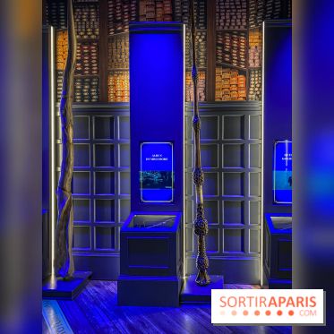 Harry Potter l'exposition baguette