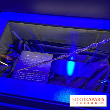 Harry Potter l'exposition baguette