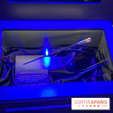 Harry Potter l'exposition baguette