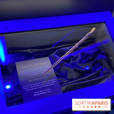 Harry Potter l'exposition baguette