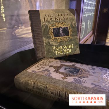 Harry Potter l'exposition défense contre les forces du mal
