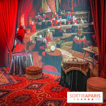 Harry Potter l'exposition divination