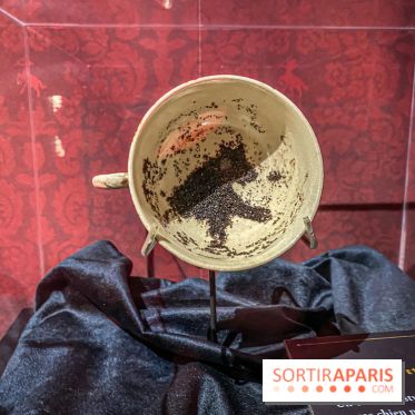 Harry Potter l'exposition divination tasséomancie