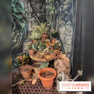 Harry Potter l'exposition cours de botanique