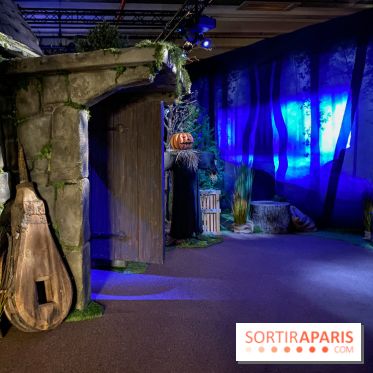 Harry Potter l'exposition forêt interdite