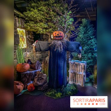 Harry Potter l'exposition cabane de hagrid