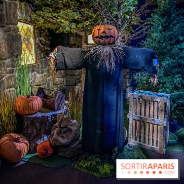 Harry Potter l'exposition cabane de hagrid