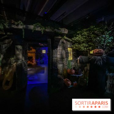 Harry Potter l'exposition cabane de hagrid