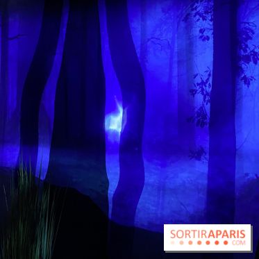 Harry Potter l'exposition forêt interdite patronus