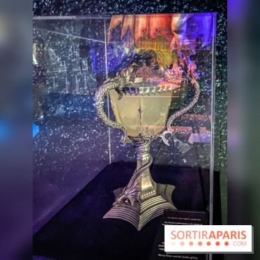 Harry Potter l'exposition coupe de feu tournoi des trois sorciers