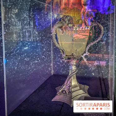 Harry Potter l'exposition coupe de feu tournoi des trois sorciers