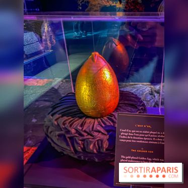 Harry Potter l'exposition tournoi des trois sorciers
