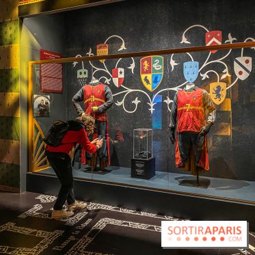 Harry Potter l'exposition quidditch