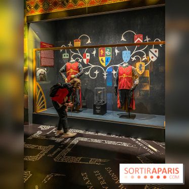 Harry Potter l'exposition quidditch