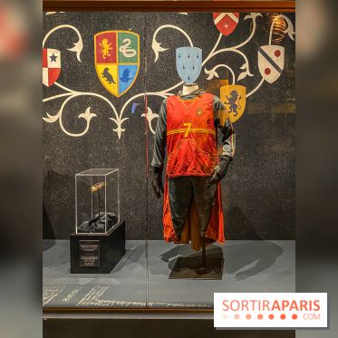 Harry Potter l'exposition quidditch