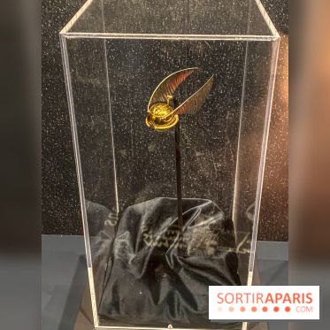 Harry Potter l'exposition quidditch