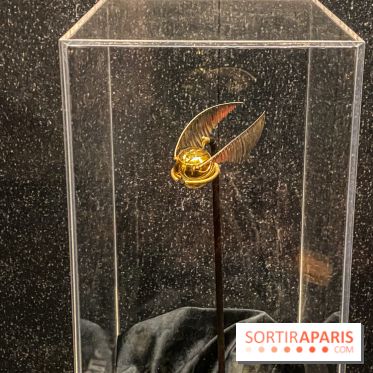 Harry Potter l'exposition quidditch