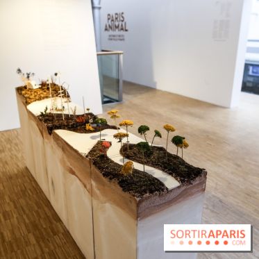Paris Animal, nos photos de l'expo à Paris - IMG 9766